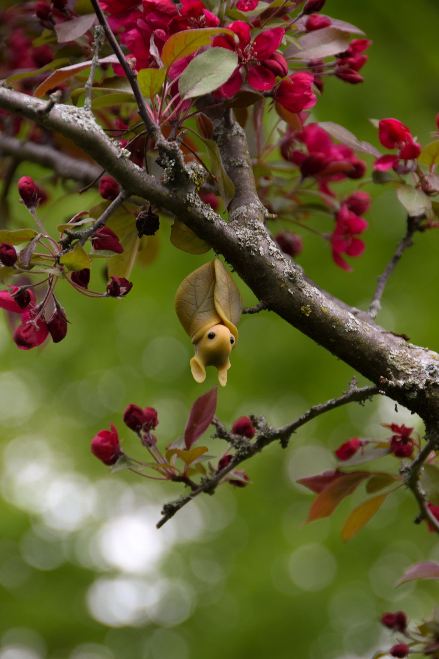 Spring Leaf Bat