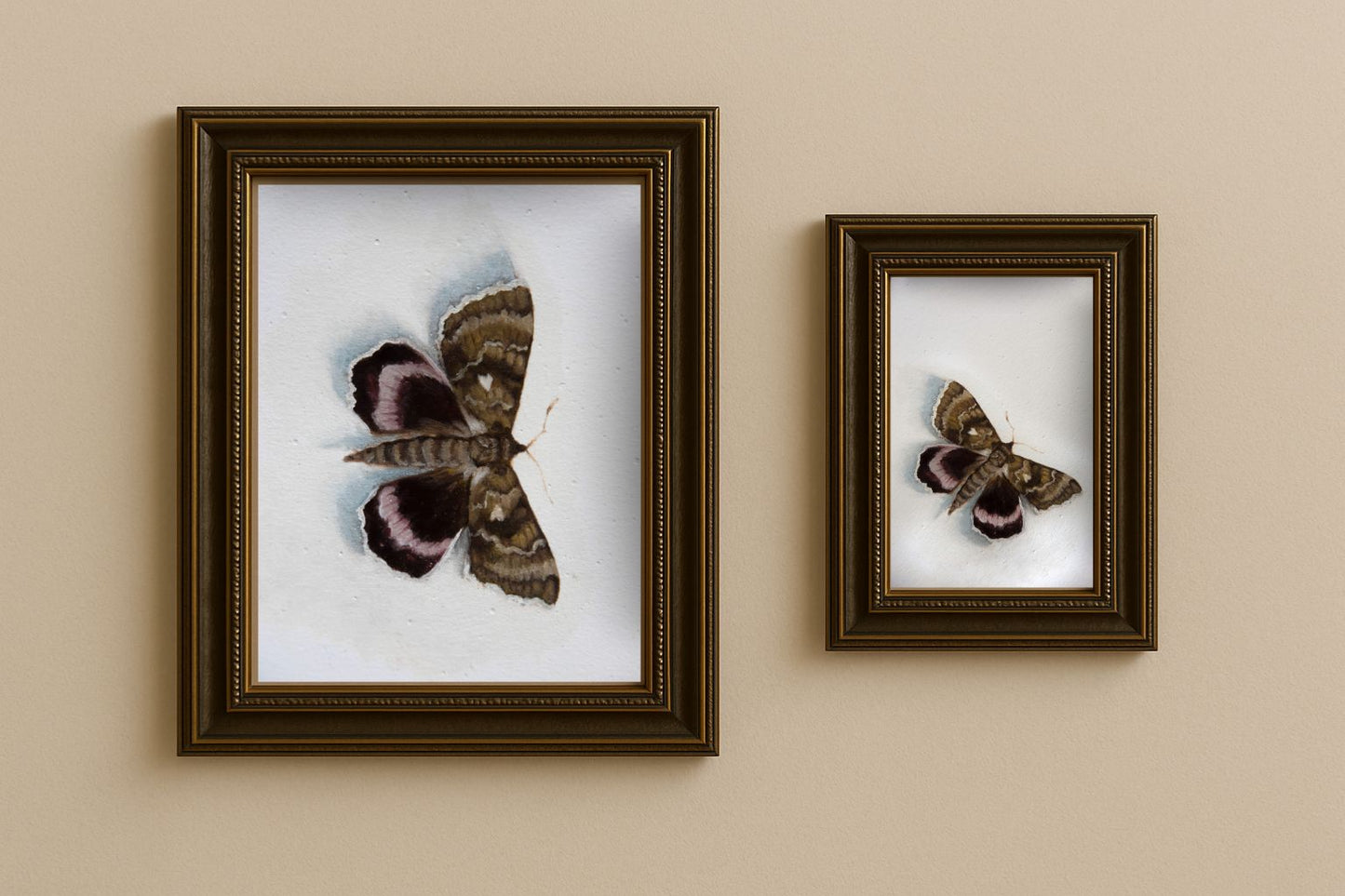 Moth - Giclée Art Print