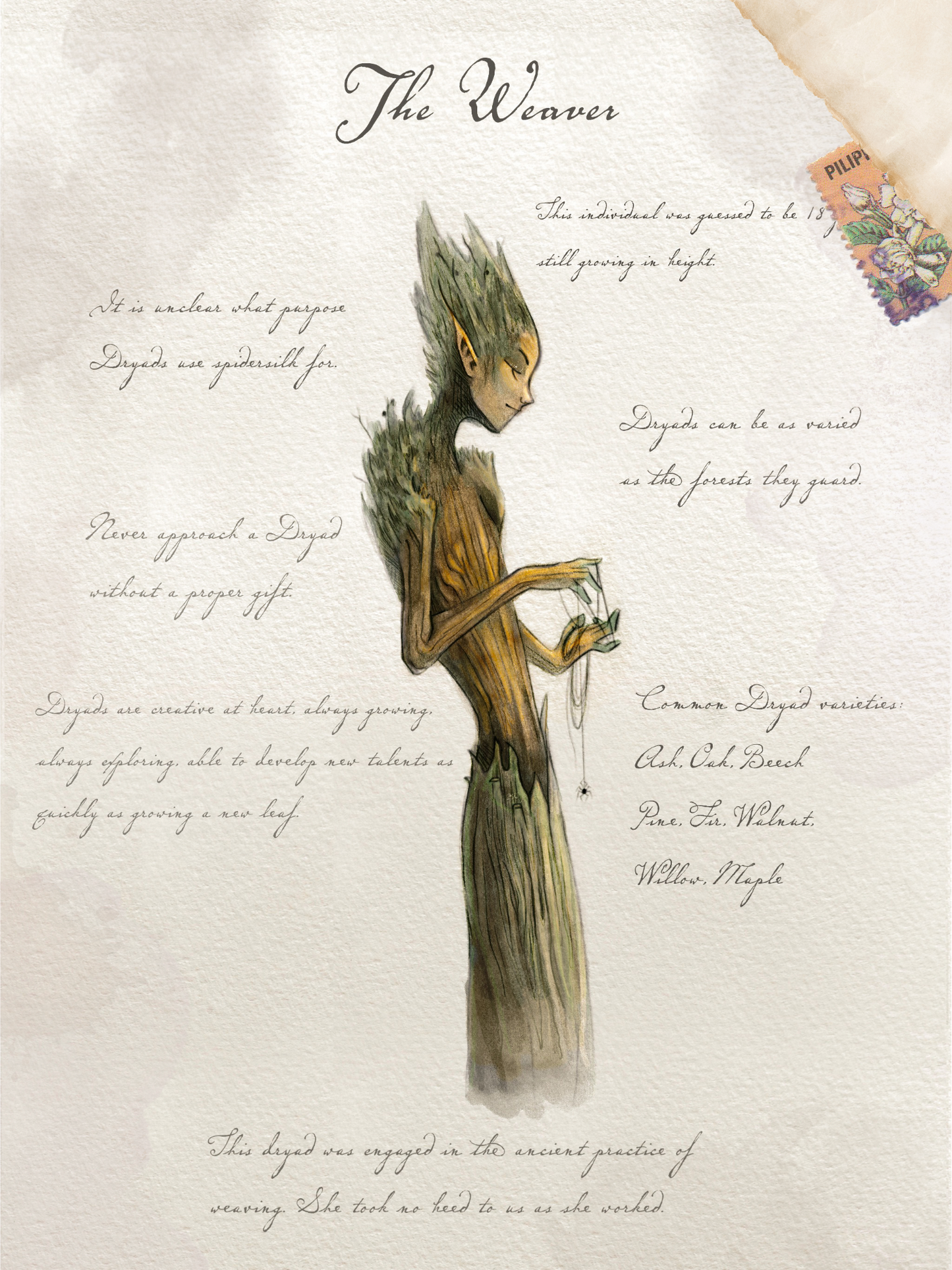 Weaver with Notes - Giclée Art Print