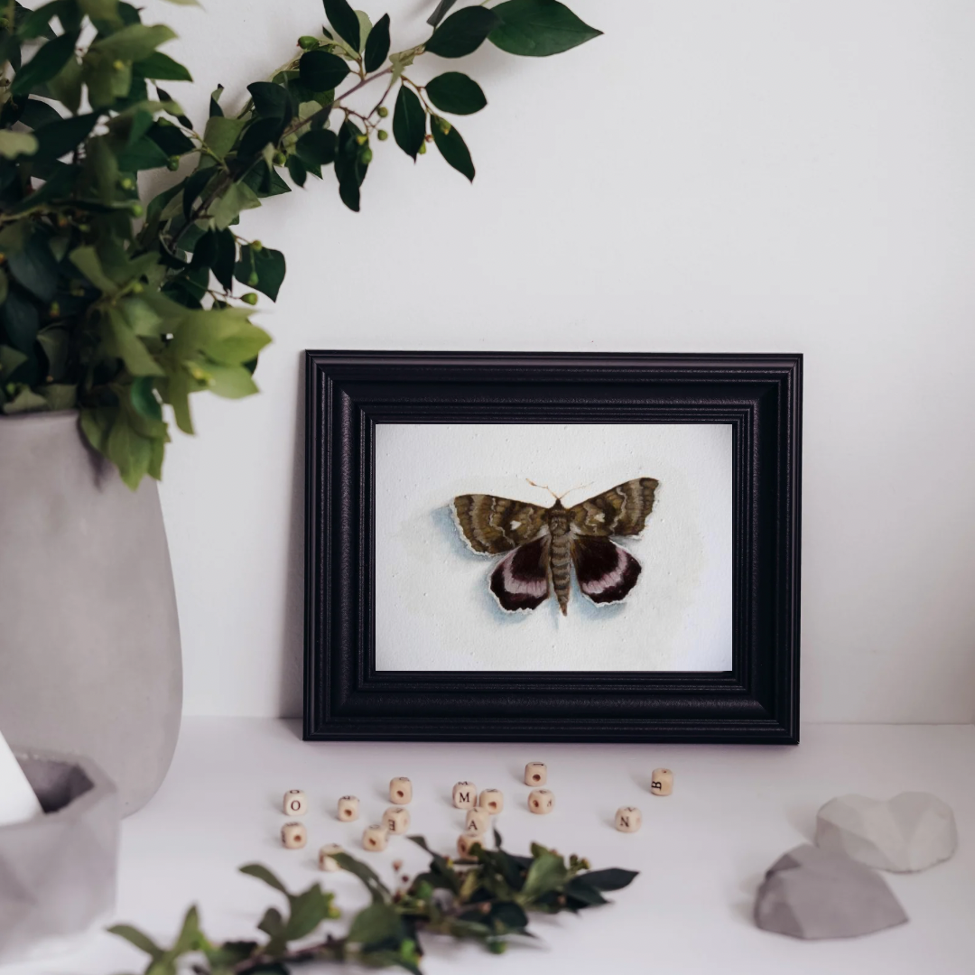Moth - Giclée Art Print