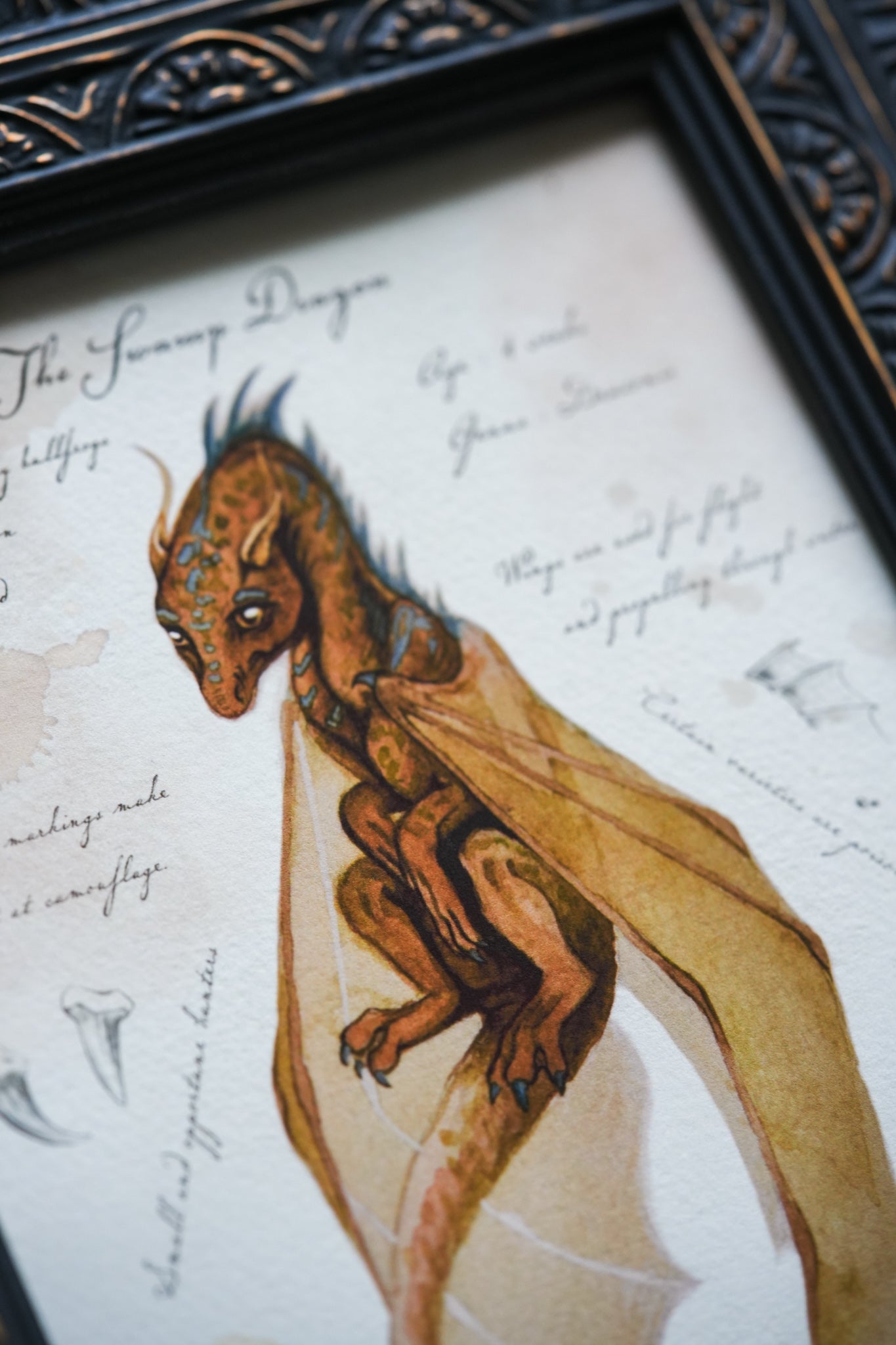 Swamp Dragon with Notes - Giclée Art Print