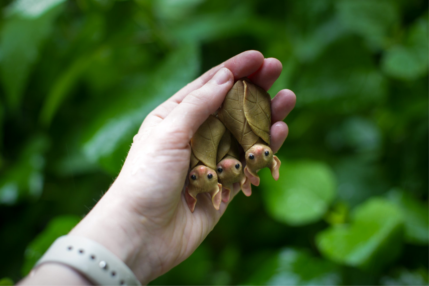 Spring Leaf Bat