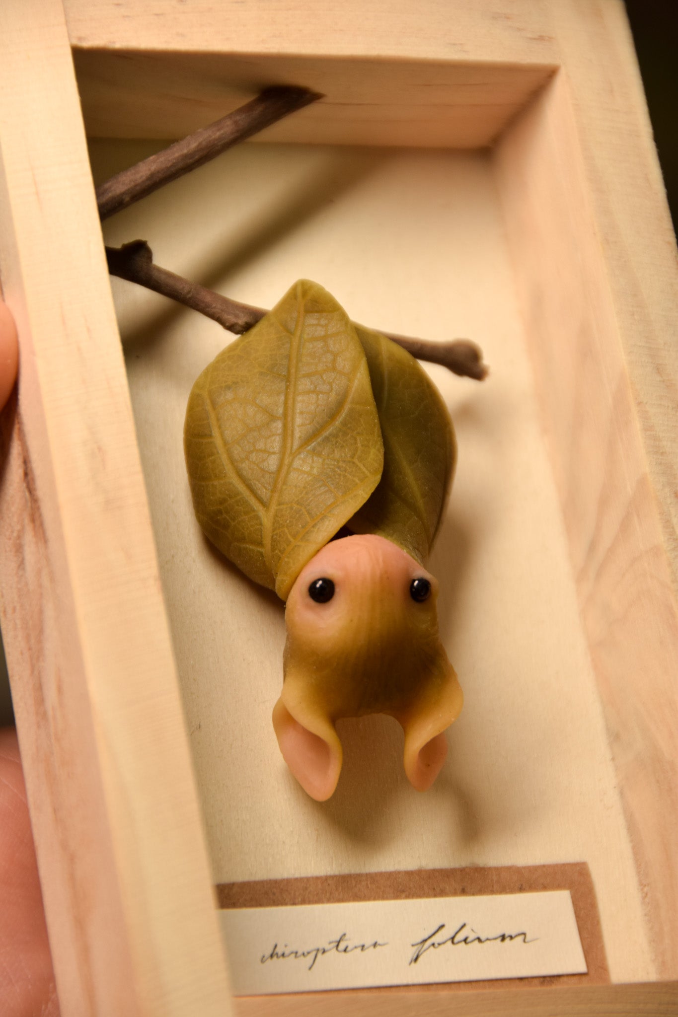 Spring Leaf Bat