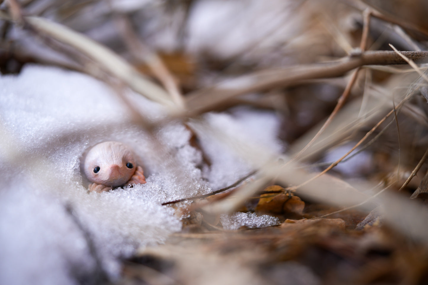 The Snow Mole — Miniature Fantasy Creature