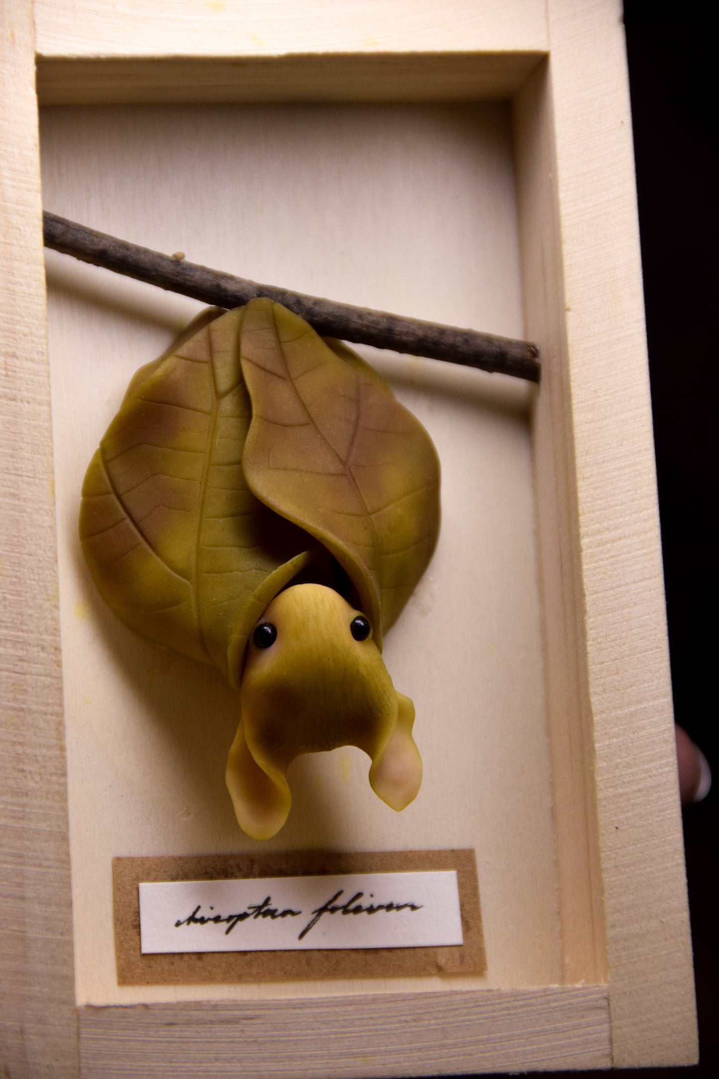 Spring Leaf Bat