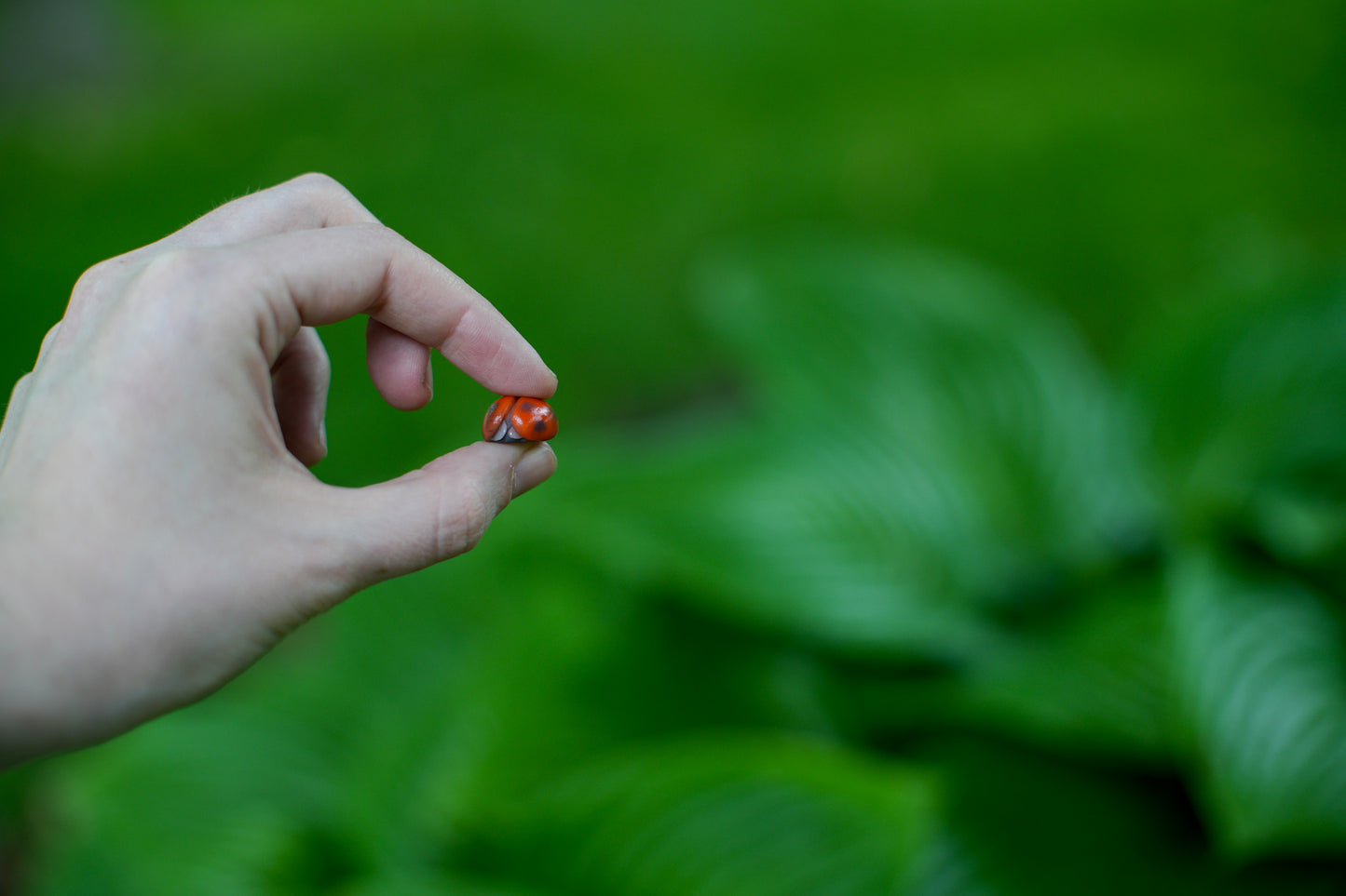 Ladybugs — PolymerClay Figurine