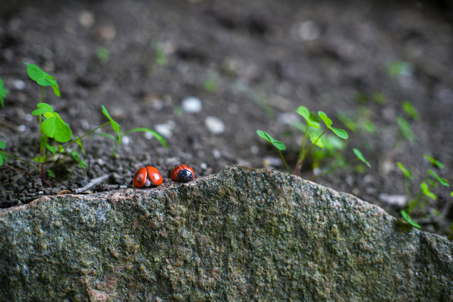 Ladybugs — PolymerClay Figurine