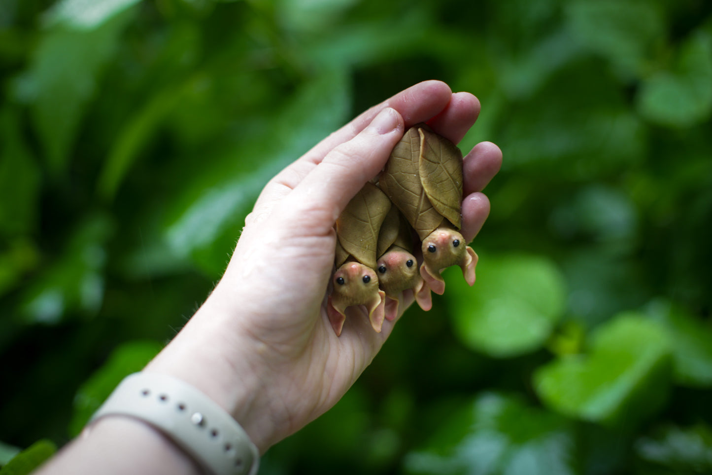 Spring Leaf Bat