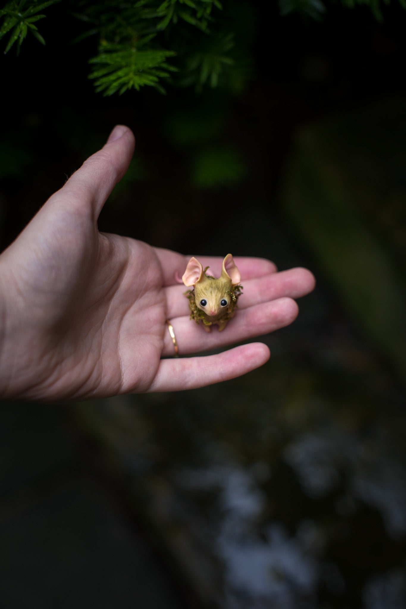 The Moss Mouse