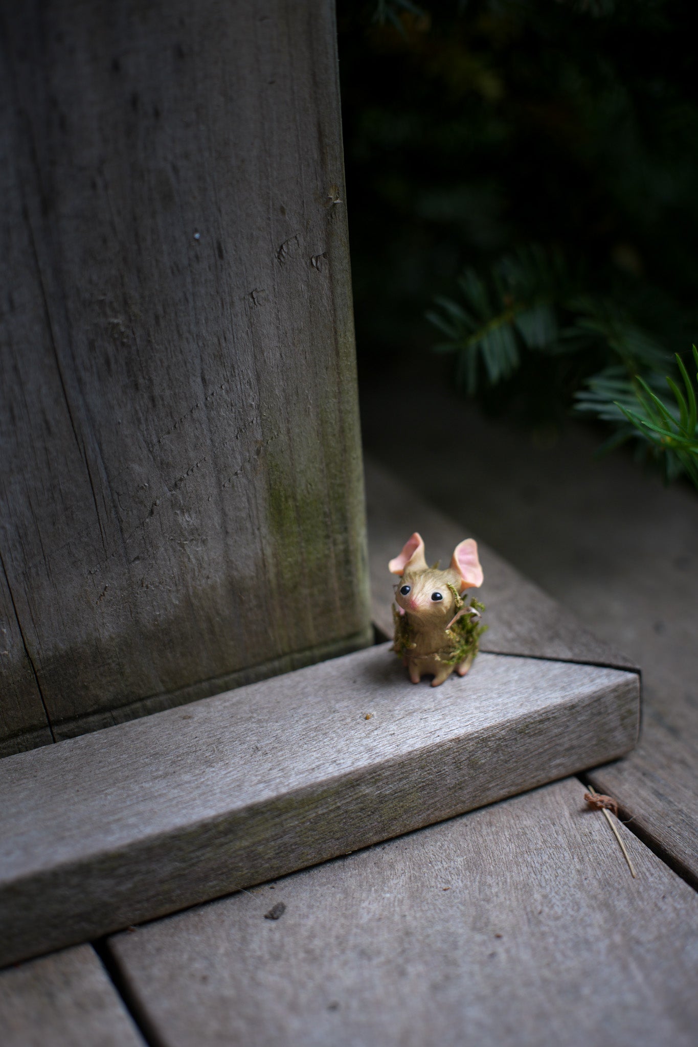 The Moss Mouse