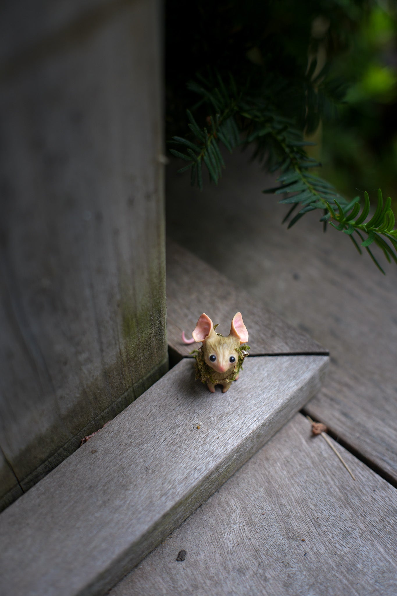 The Moss Mouse