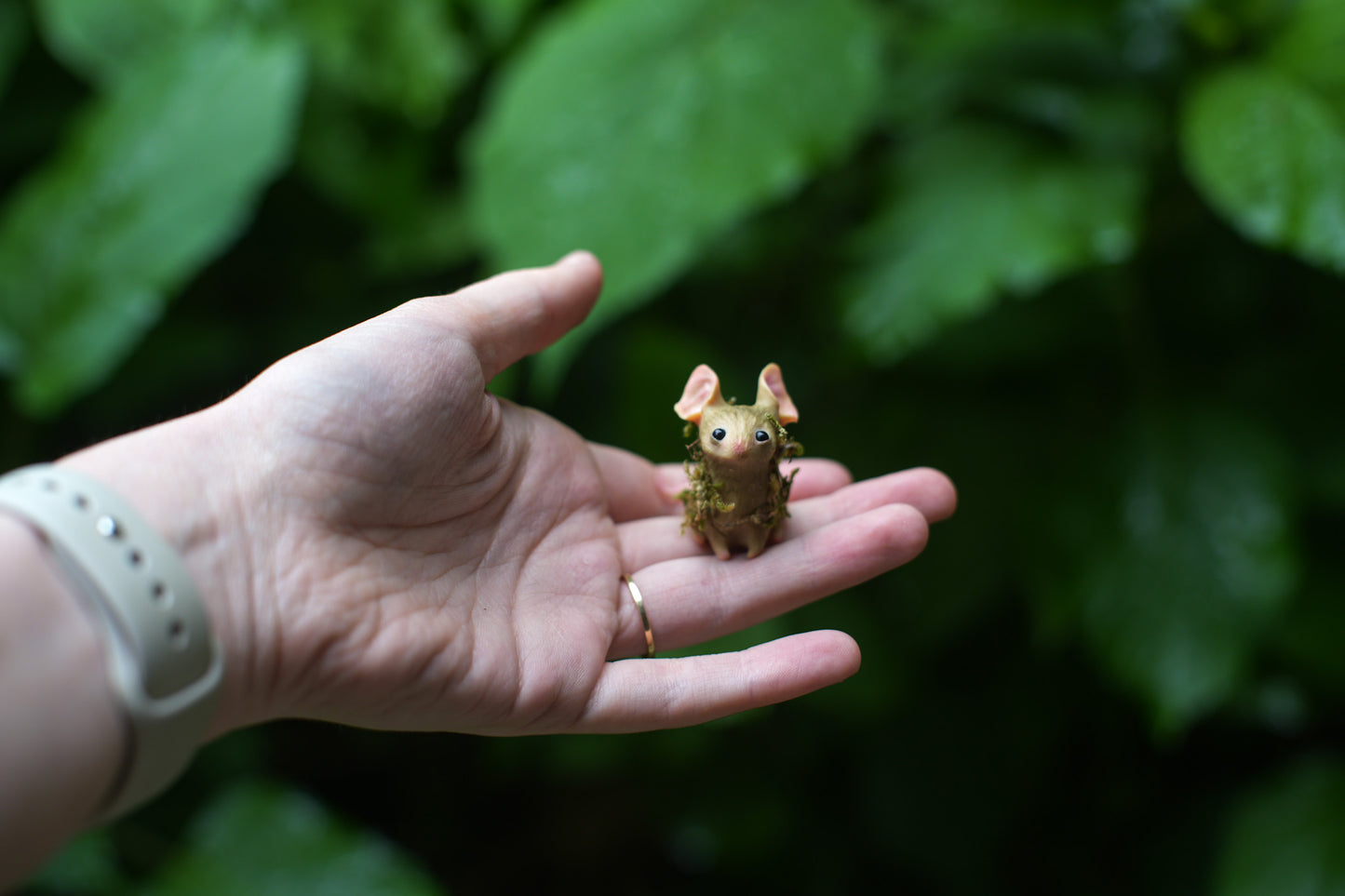 The Moss Mouse