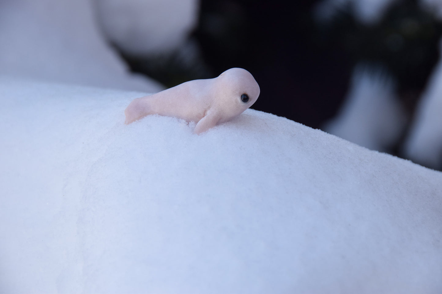 Beluga Whale - PolymerClay Figurine