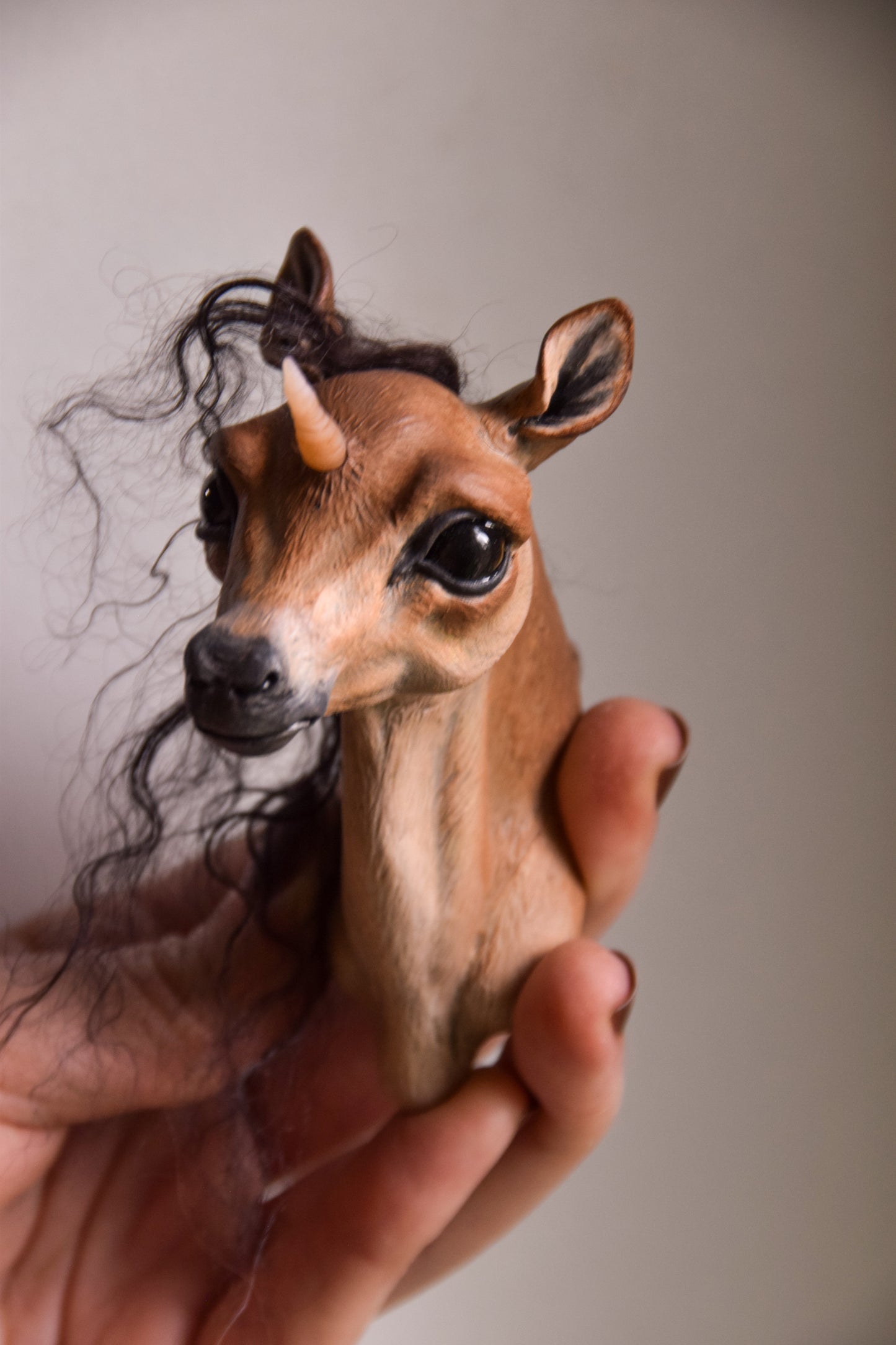 Unicorn Foal - Framed