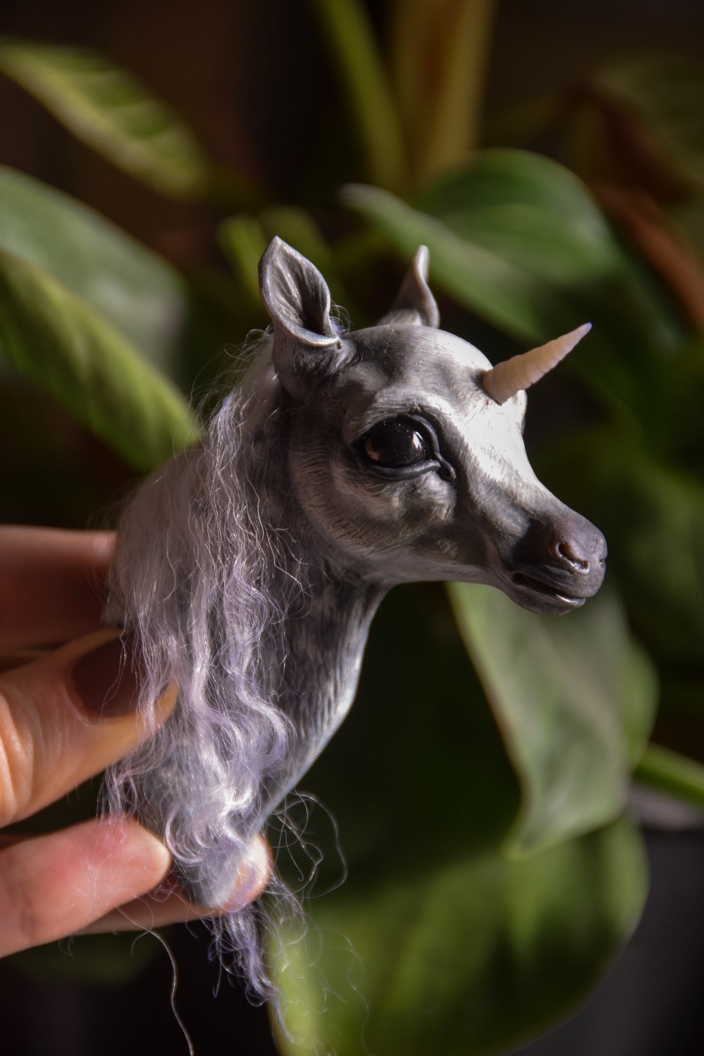 Unicorn Foal - Framed