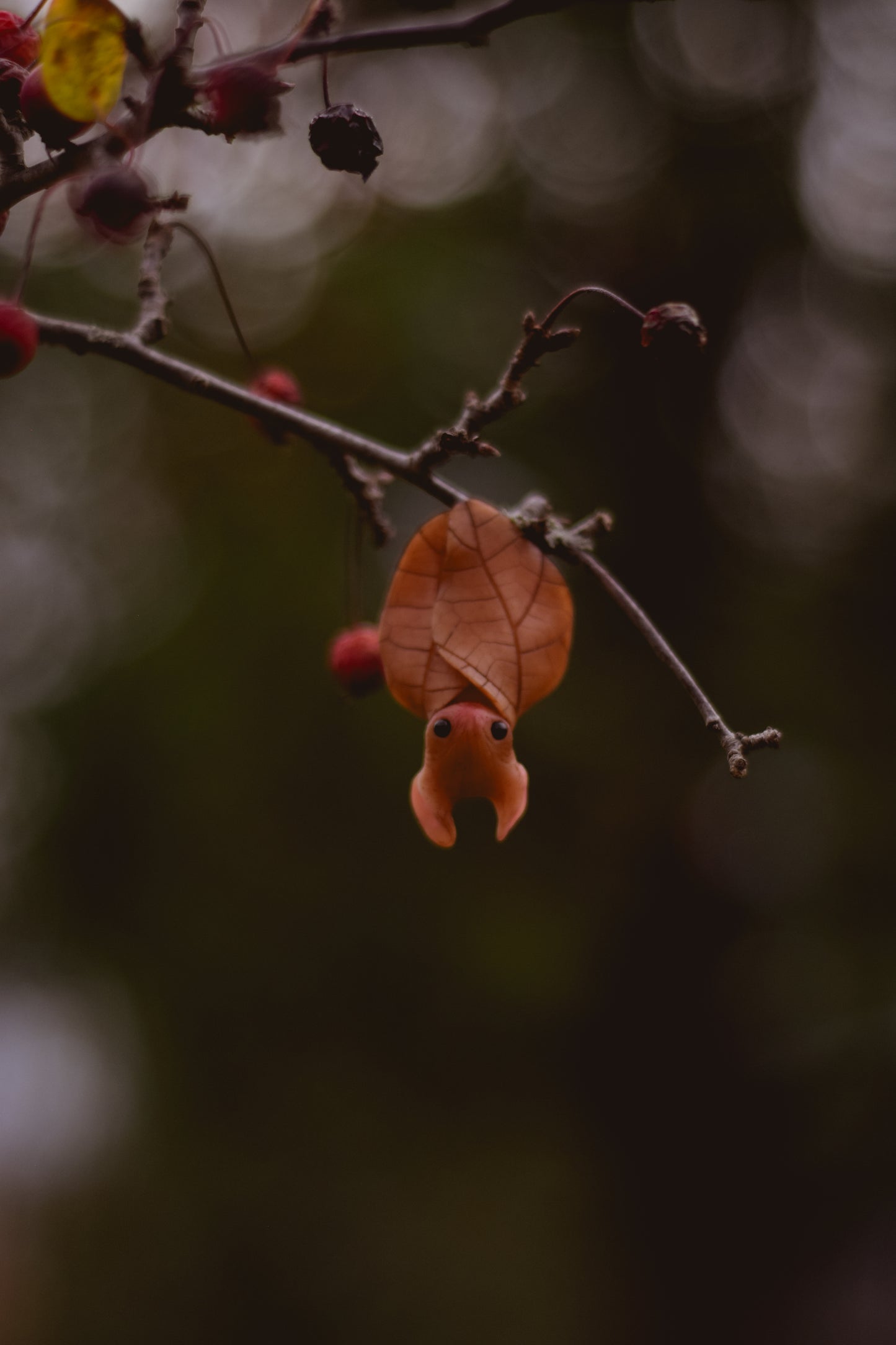 The Leaf Bat