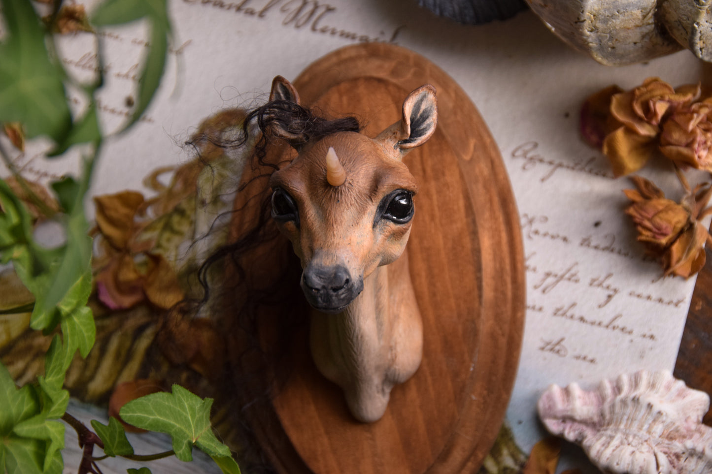 Unicorn Foal - Framed