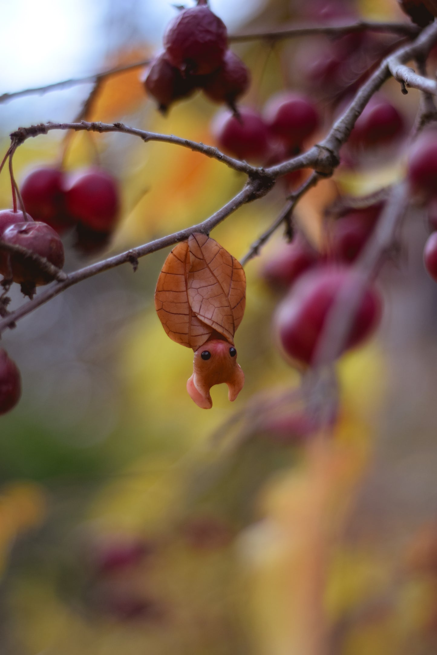 The Leaf Bat