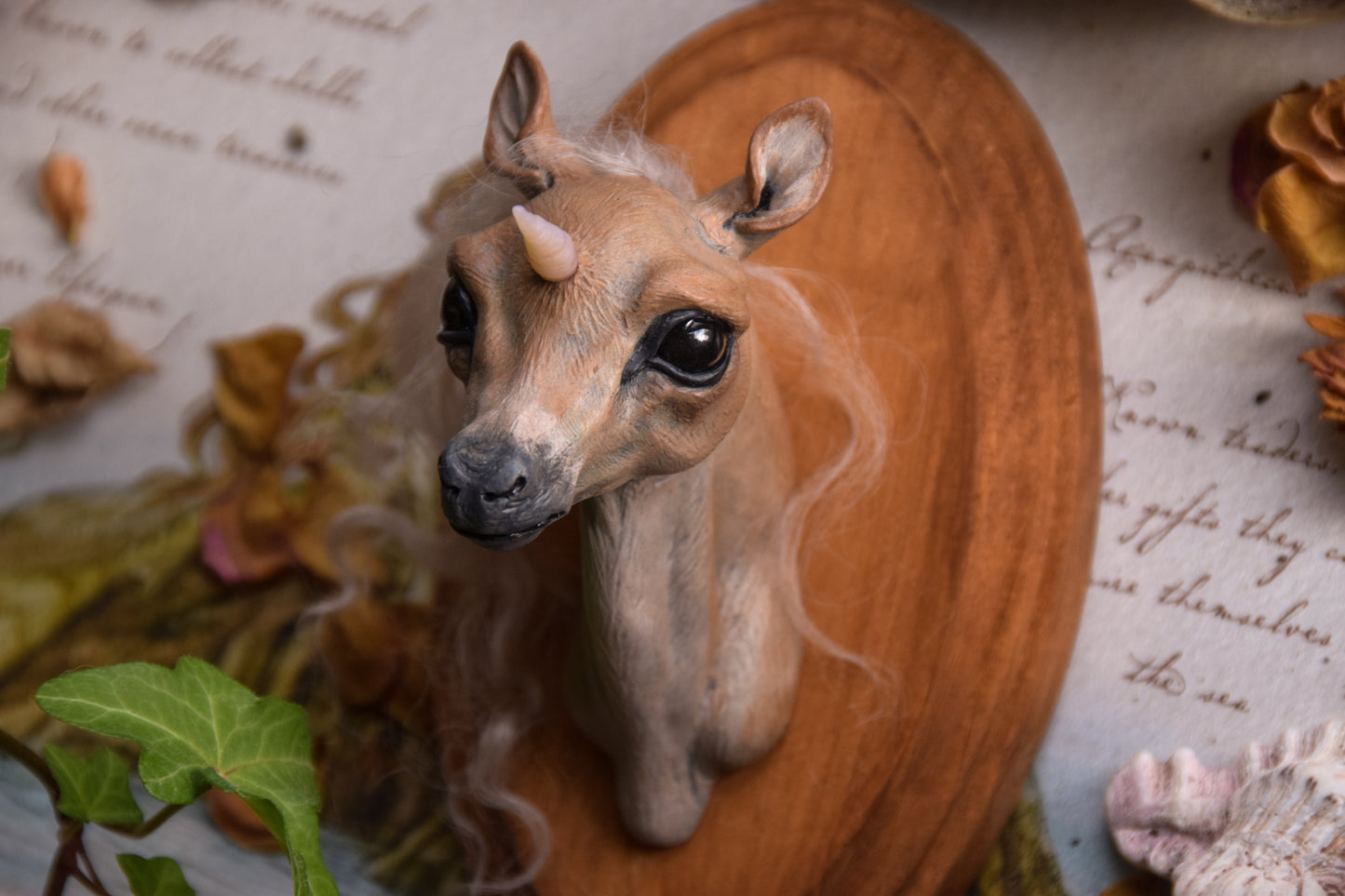 Unicorn Foal - Framed