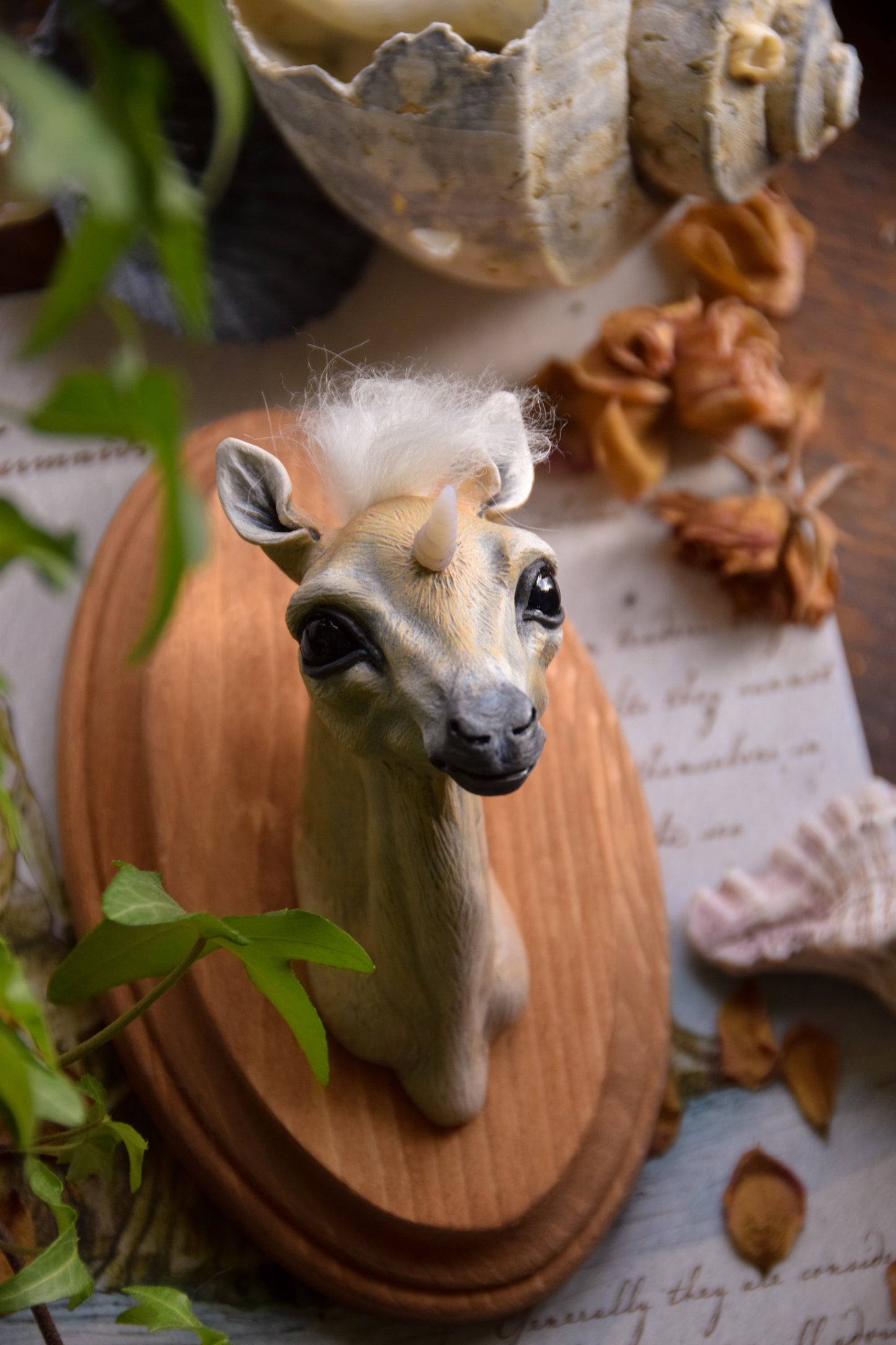 Unicorn Foal - Framed