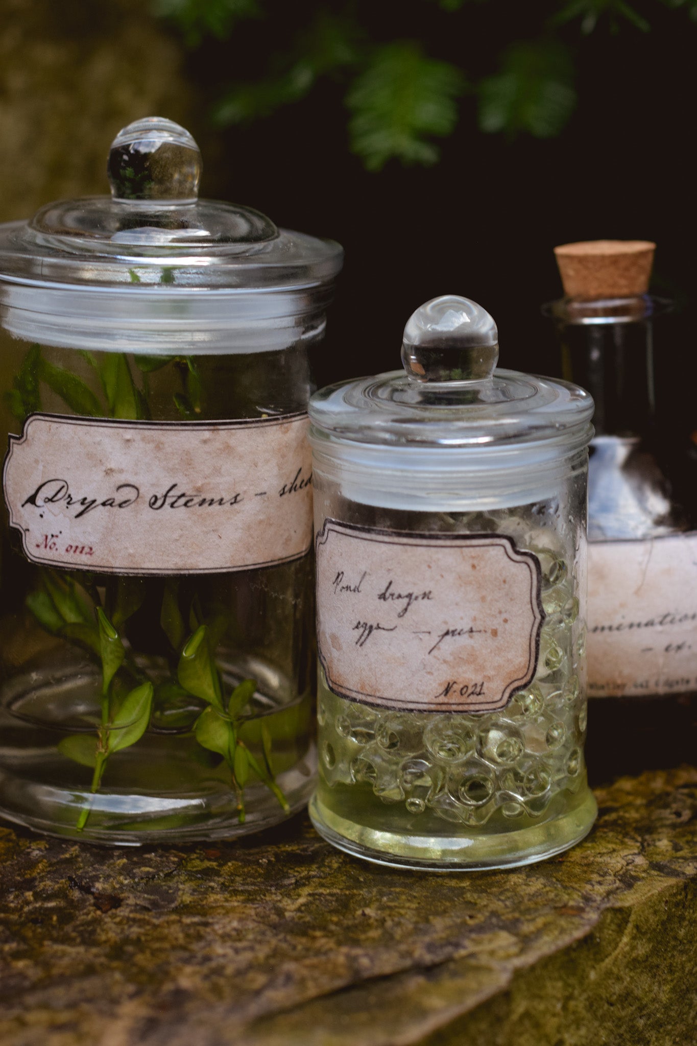 Vintage Spooky Apothecary Potion Labels - Printable Download