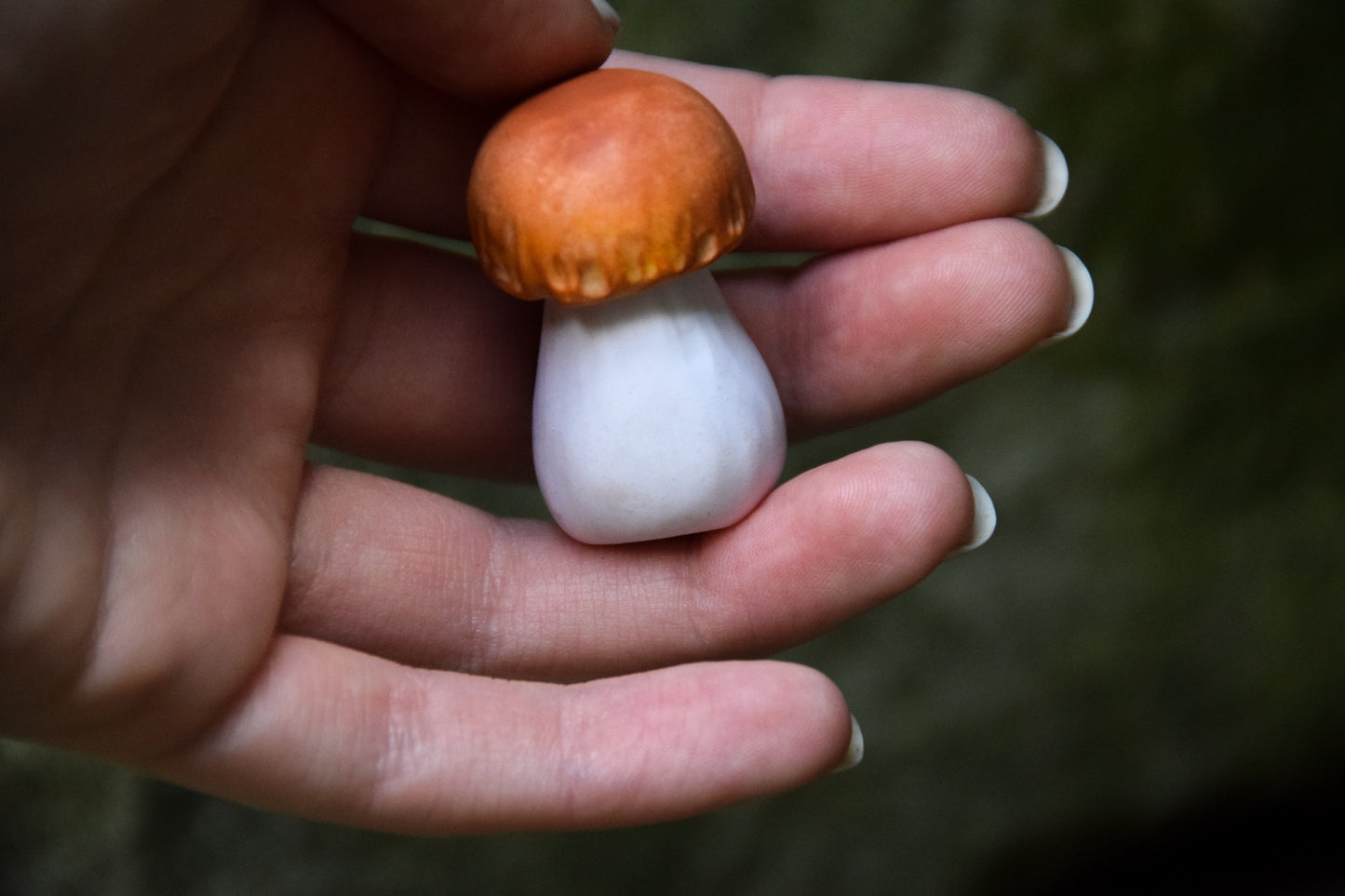 Mushrooms — PolymerClay Figurine