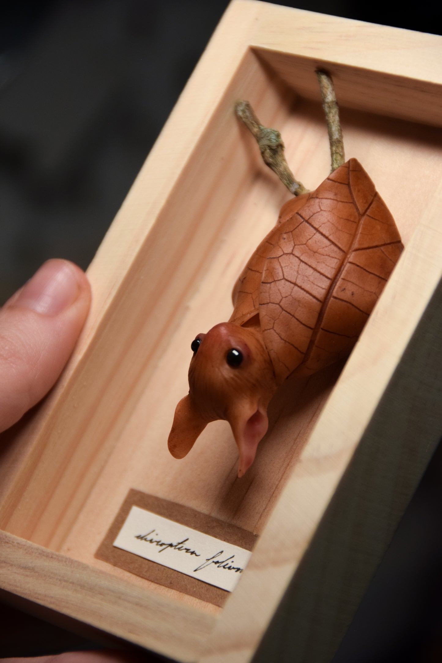 The Leaf Bat