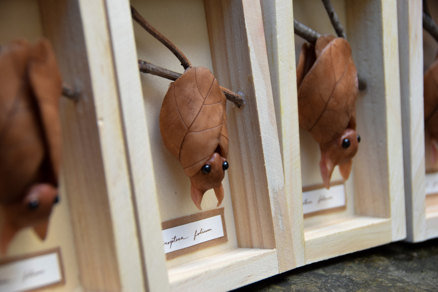 The Leaf Bat