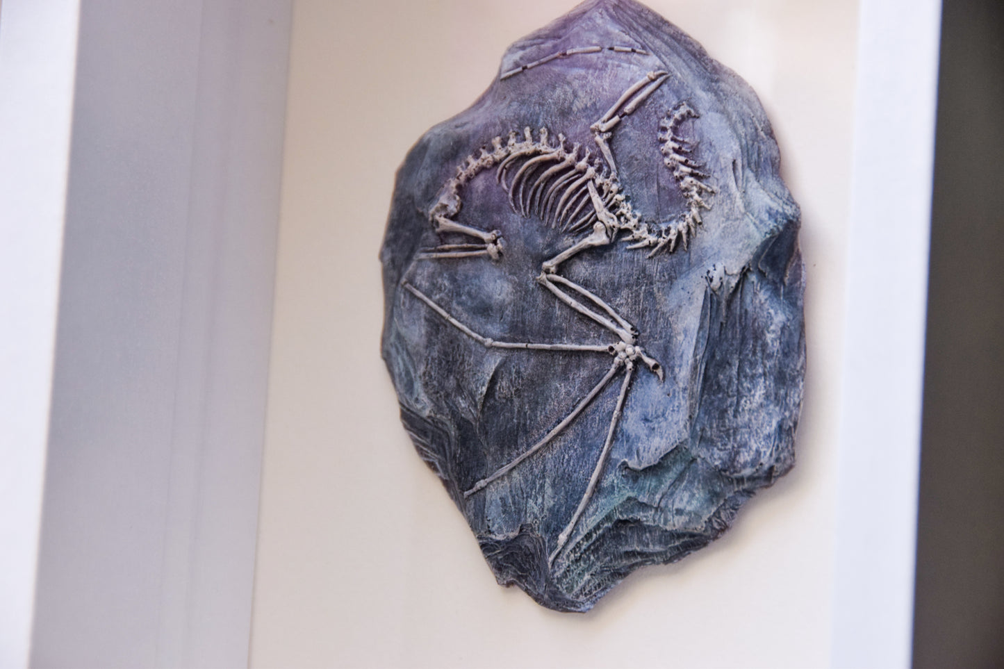 Dragon Fossil - Framed Limited Edition Curio