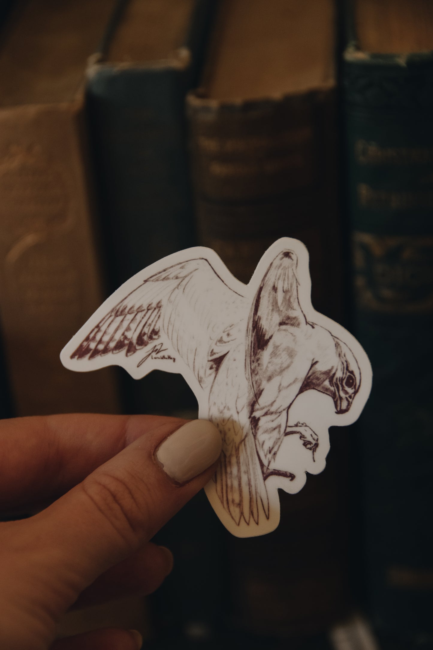 A Study in Falcons - Vinyl Sticker