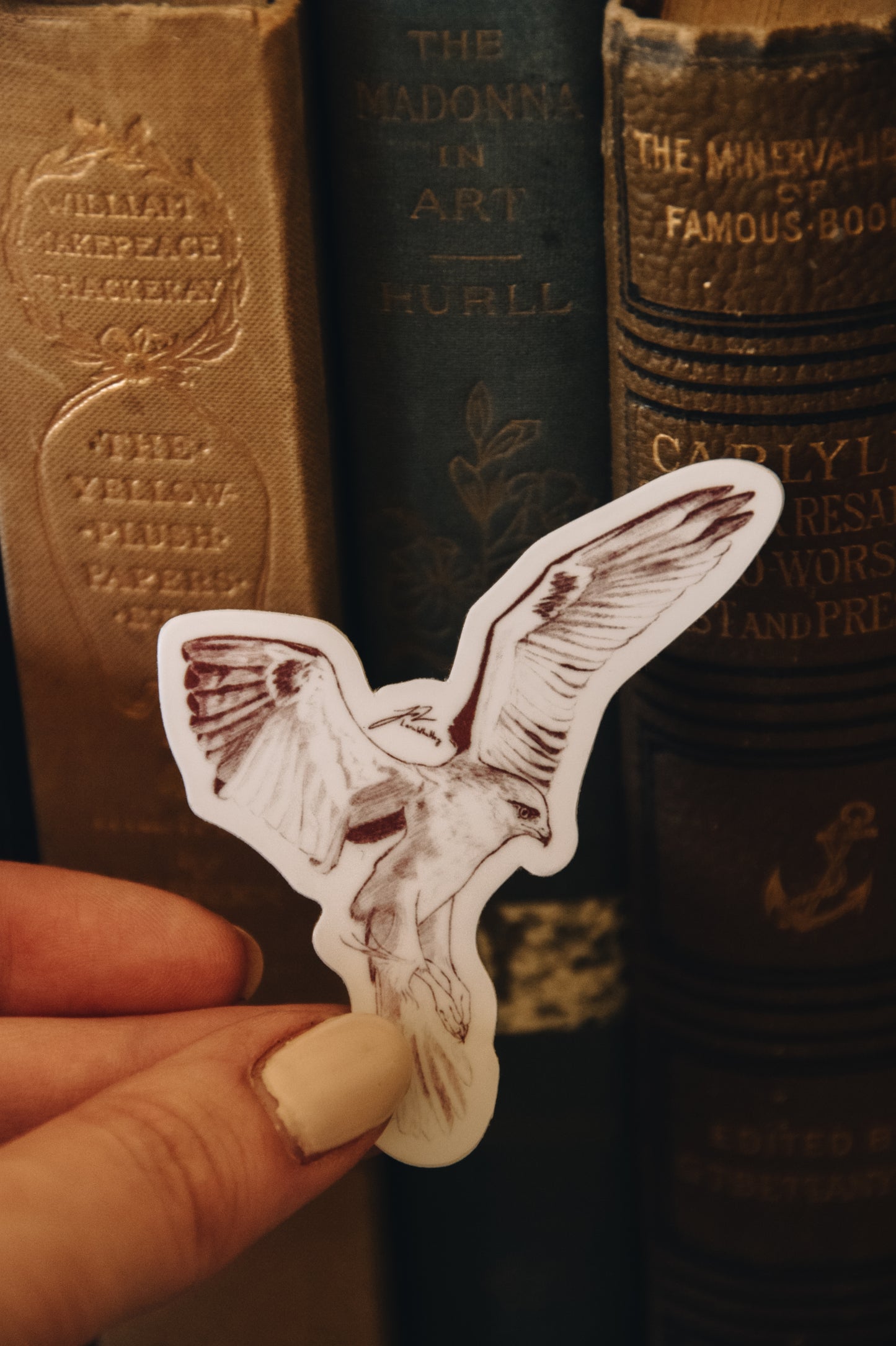 A Study in Falcons - Vinyl Sticker