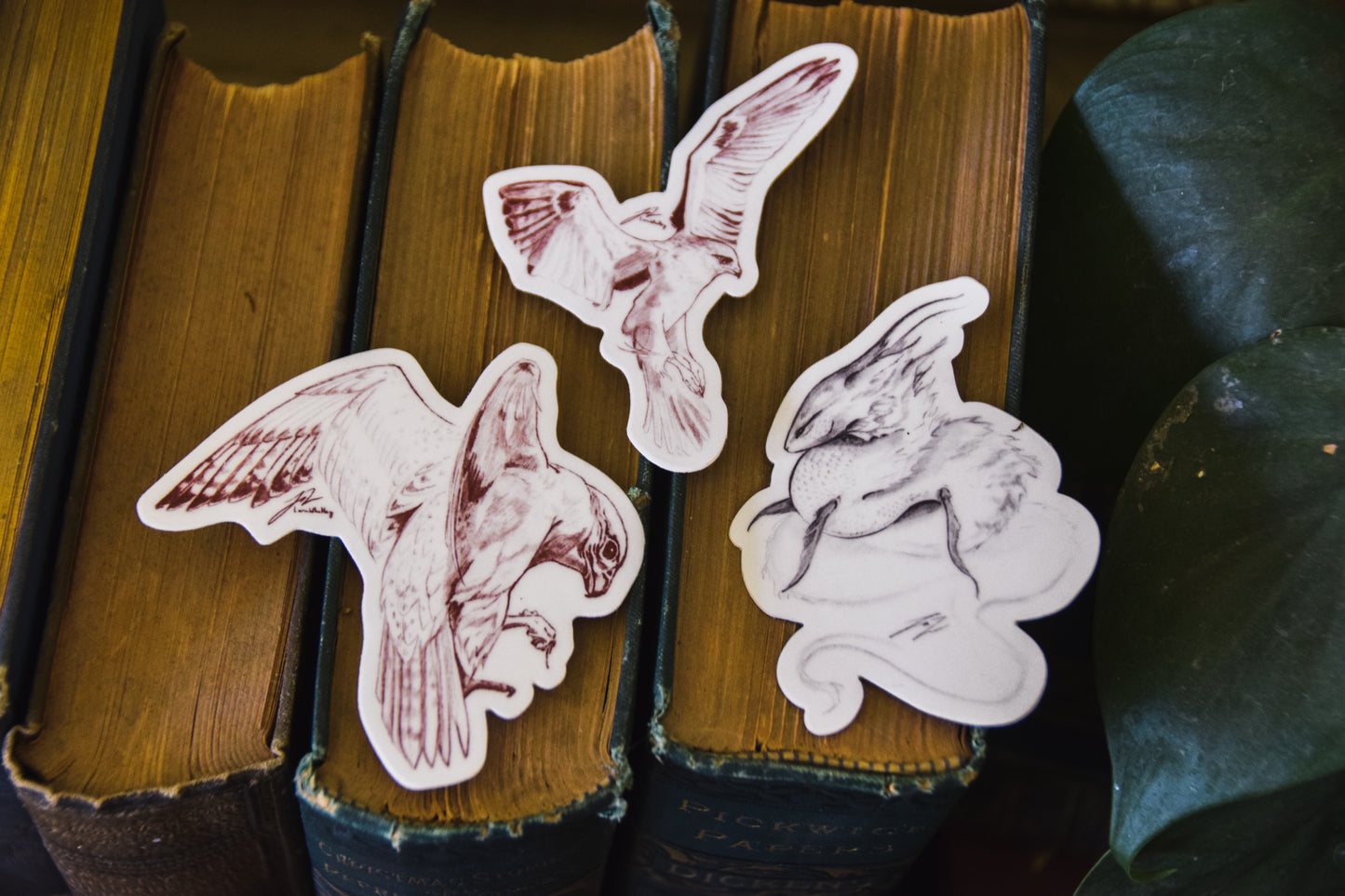 A Study in Falcons - Vinyl Sticker