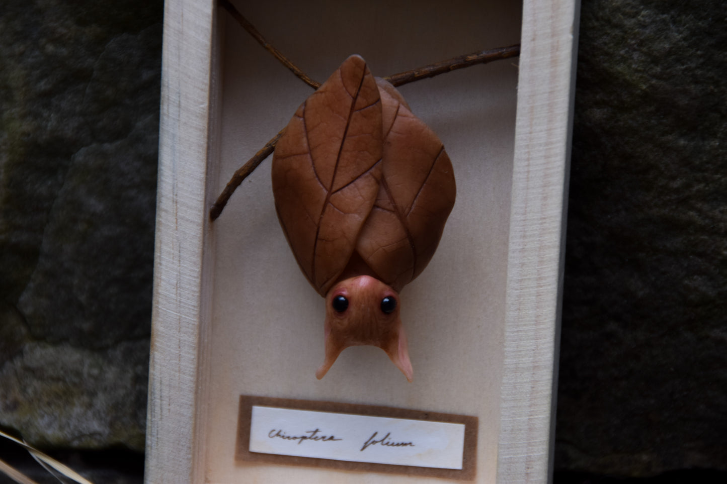 The Leaf Bat