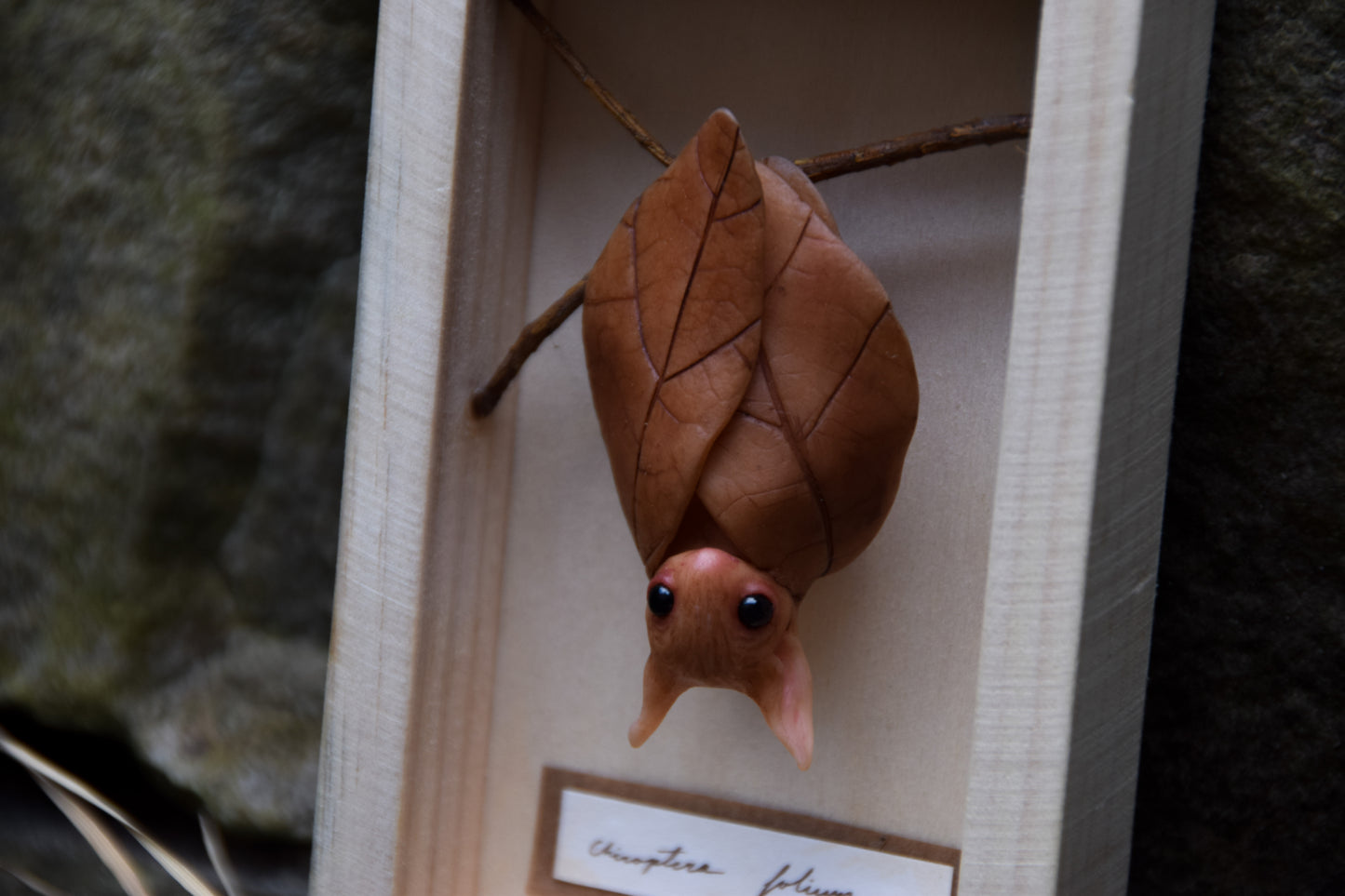 The Leaf Bat
