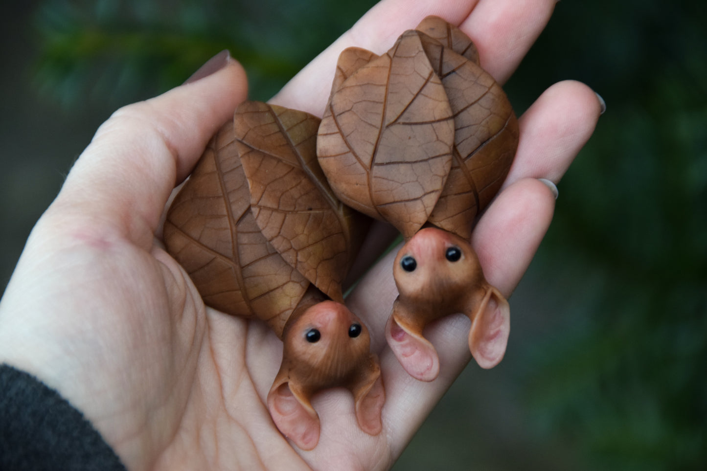 The Leaf Bat