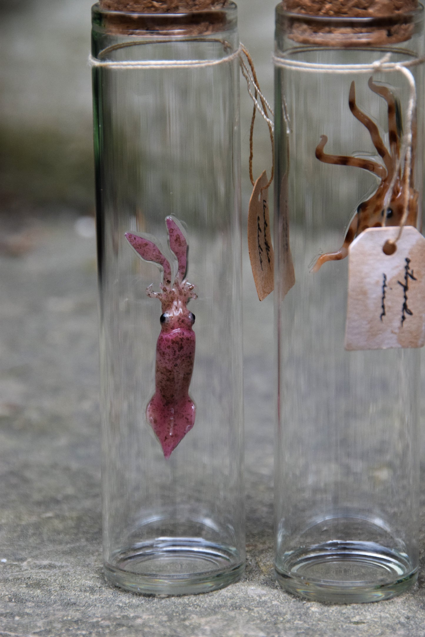 Lifelike Squid Sculpture