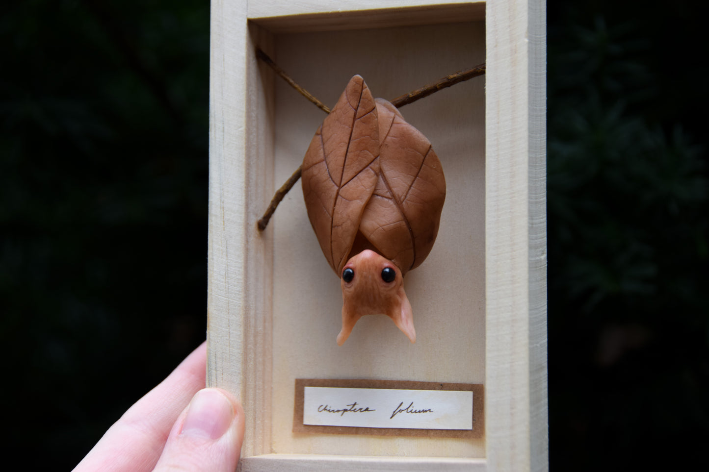 The Leaf Bat