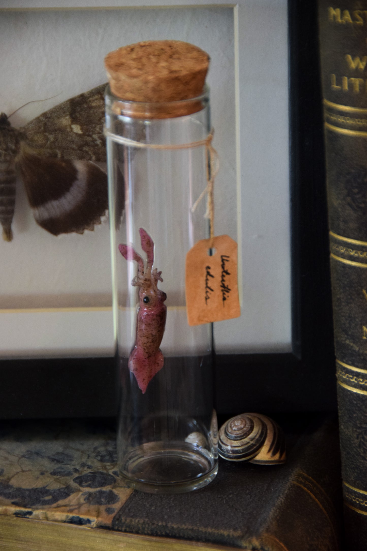 Lifelike Squid Sculpture