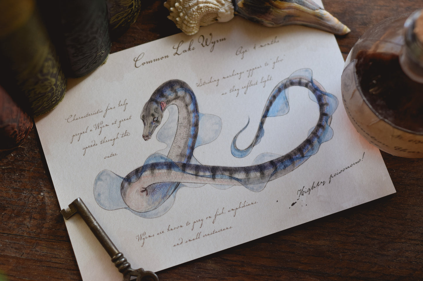 Common Lake Wyrm with Notes - Giclée Art Print