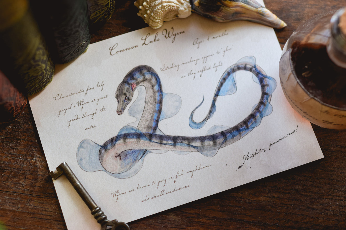 Common Lake Wyrm with Notes - Giclée Art Print