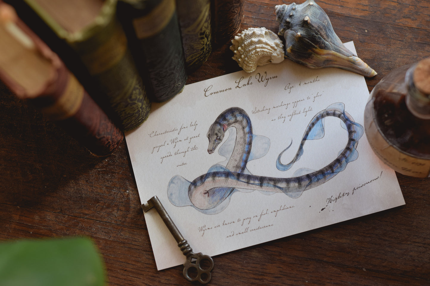 Common Lake Wyrm with Notes - Giclée Art Print