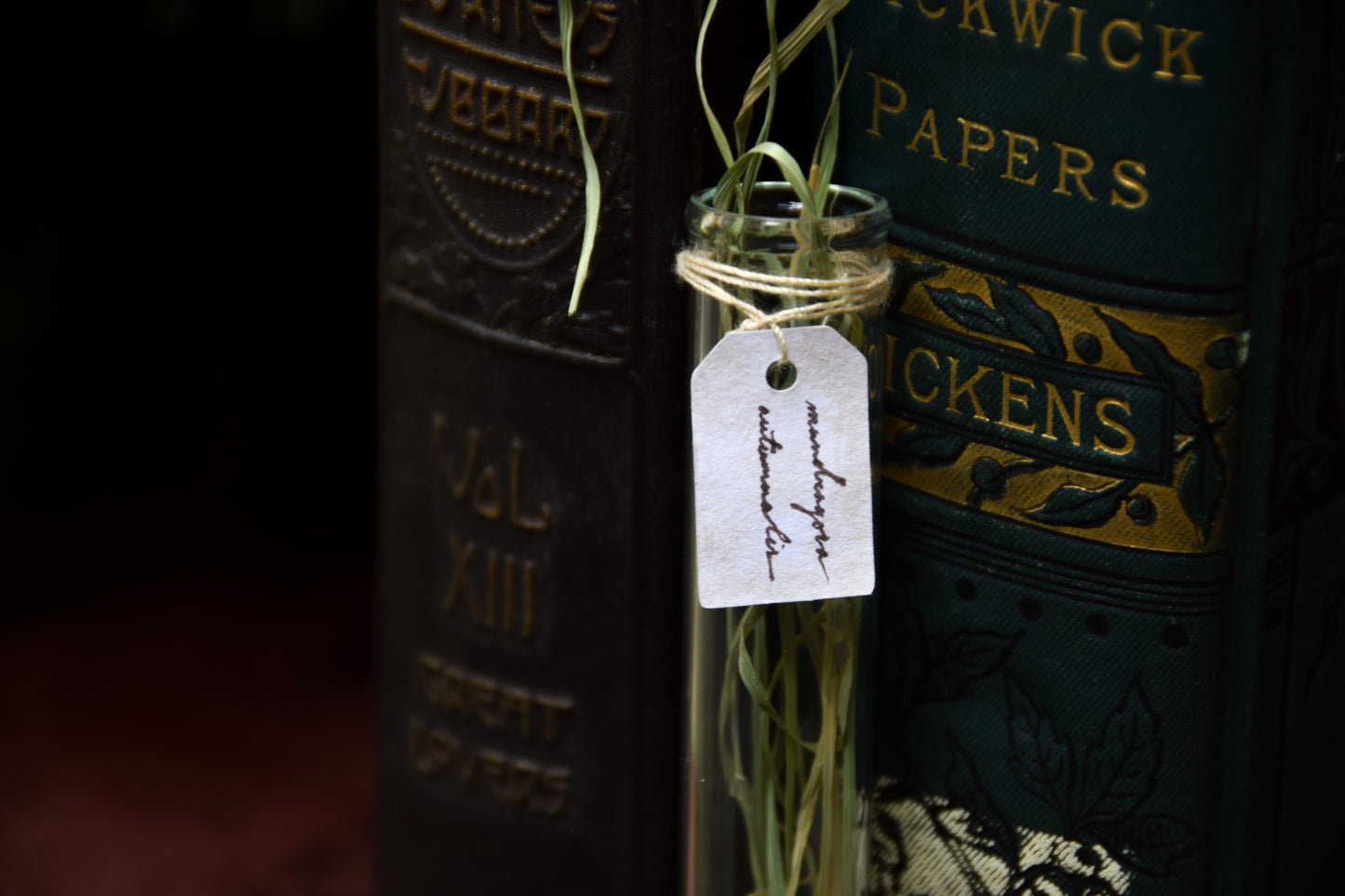 Grass Mandrake - PolymerClay Figurine in a test tube