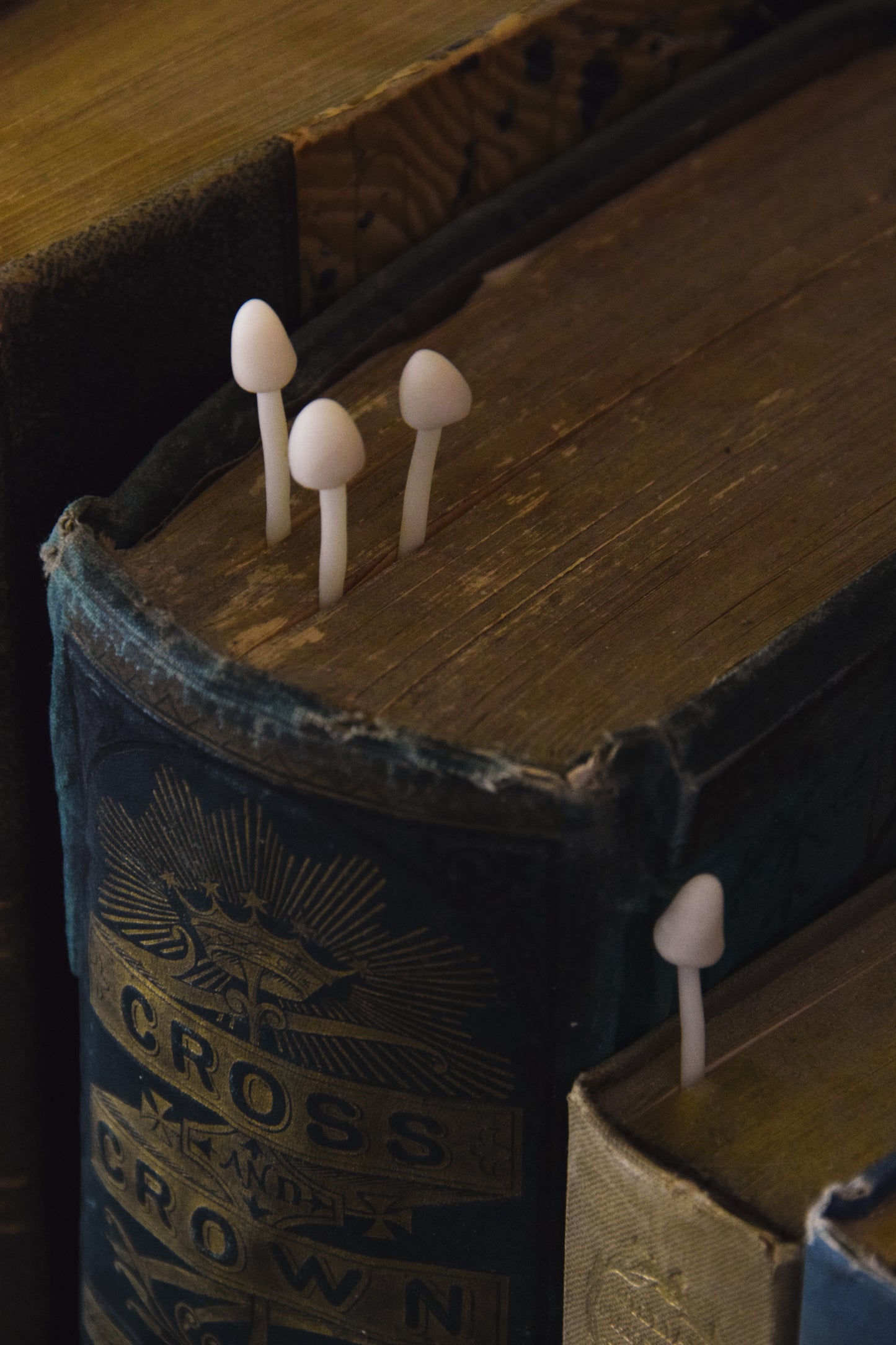 Mushroom Bookmarks - Glowing