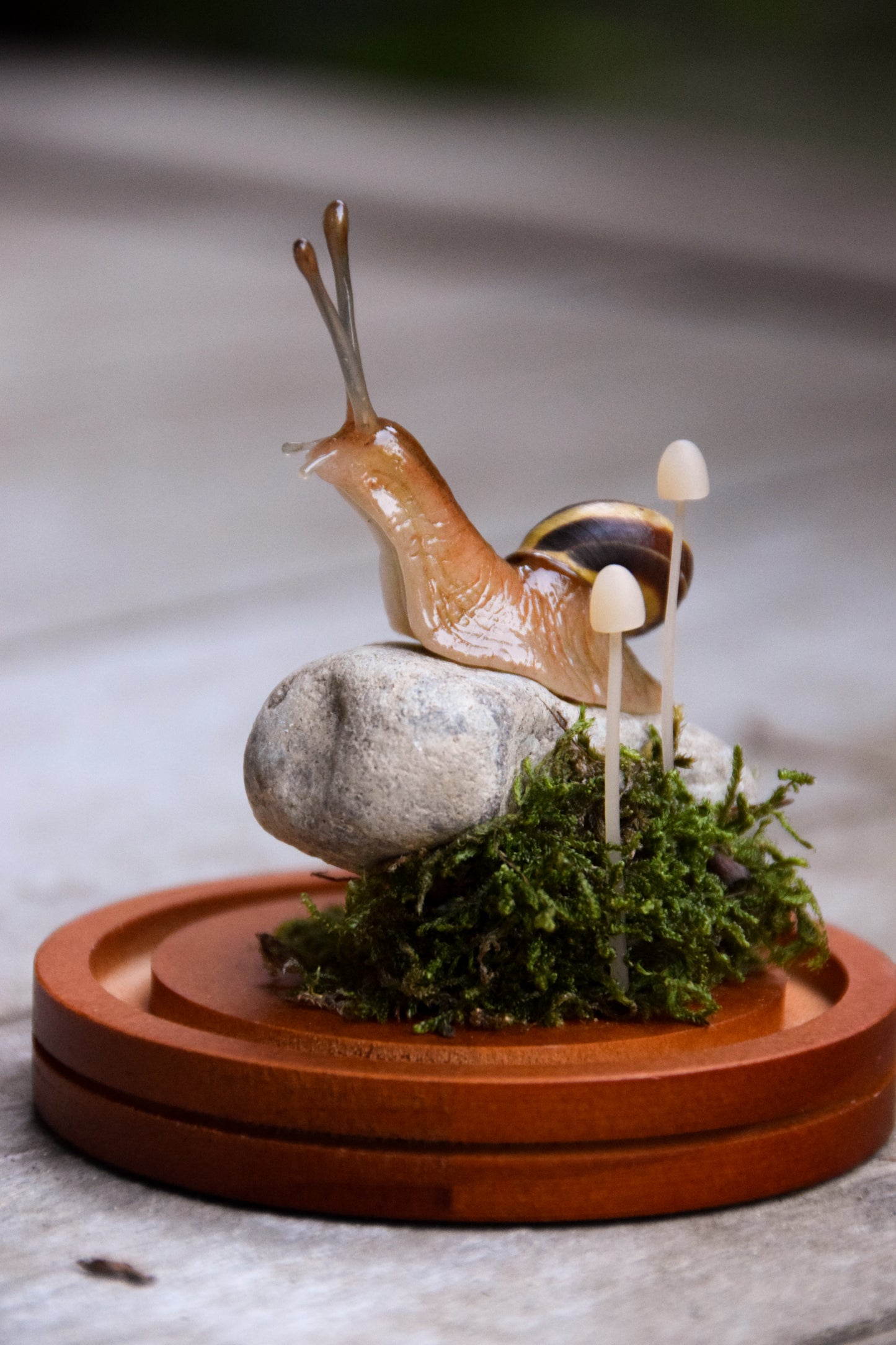 Snail Sculpture - Cloche