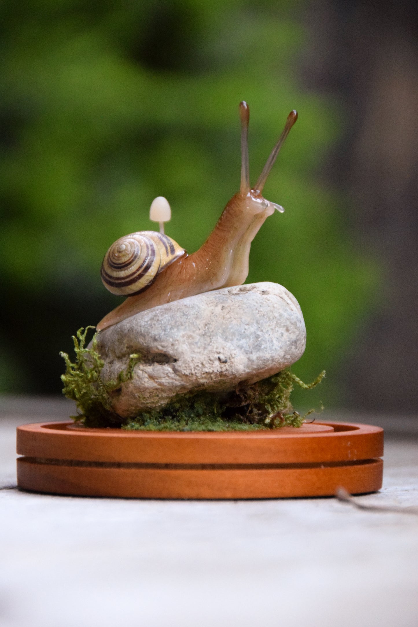 Snail Sculpture - Cloche