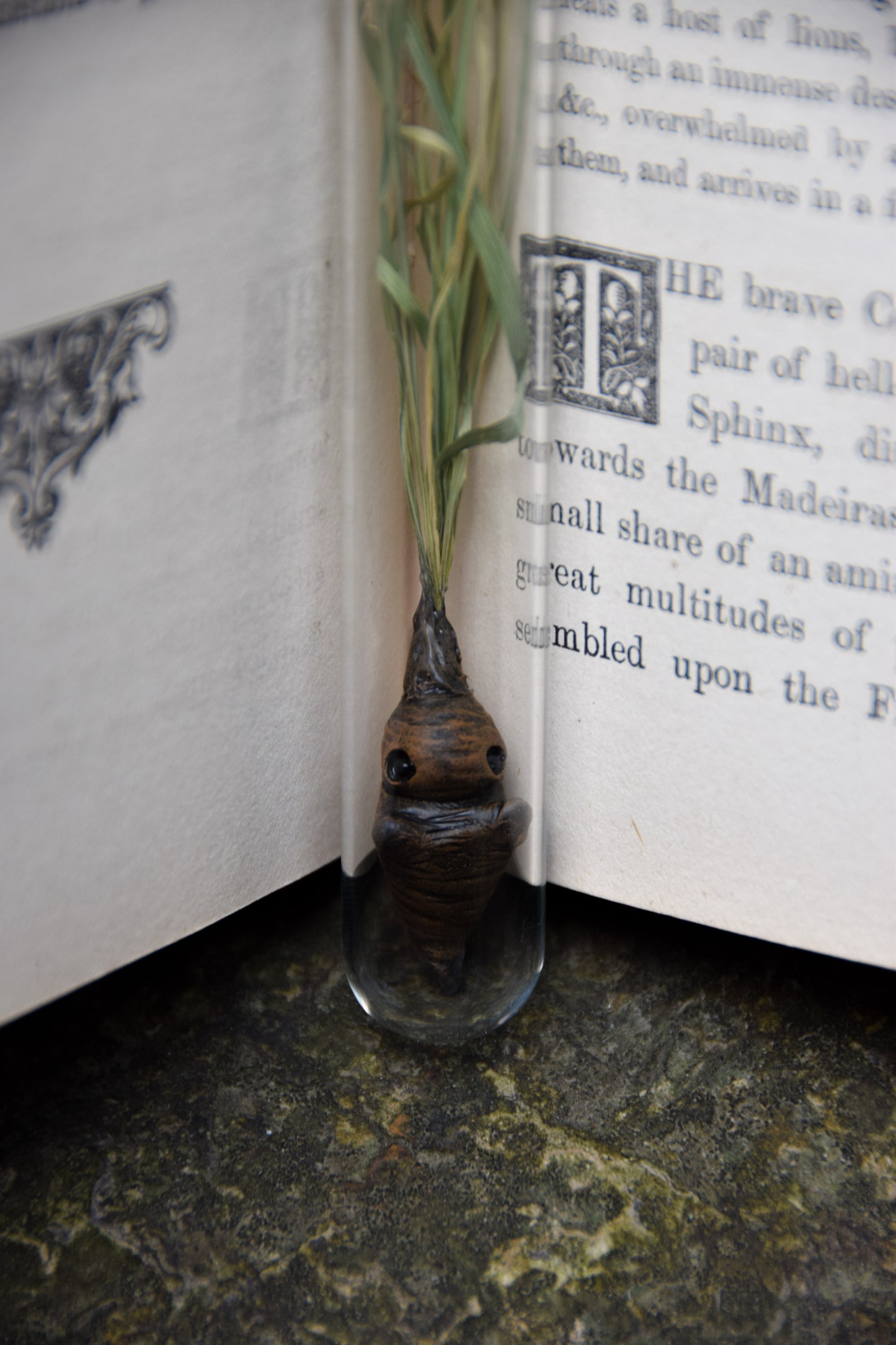 Grass Mandrake - PolymerClay Figurine in a test tube