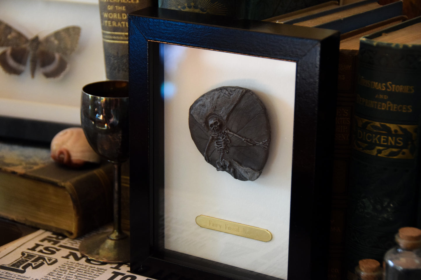 Fairy Fossil - Mini Framed Fairy Bones