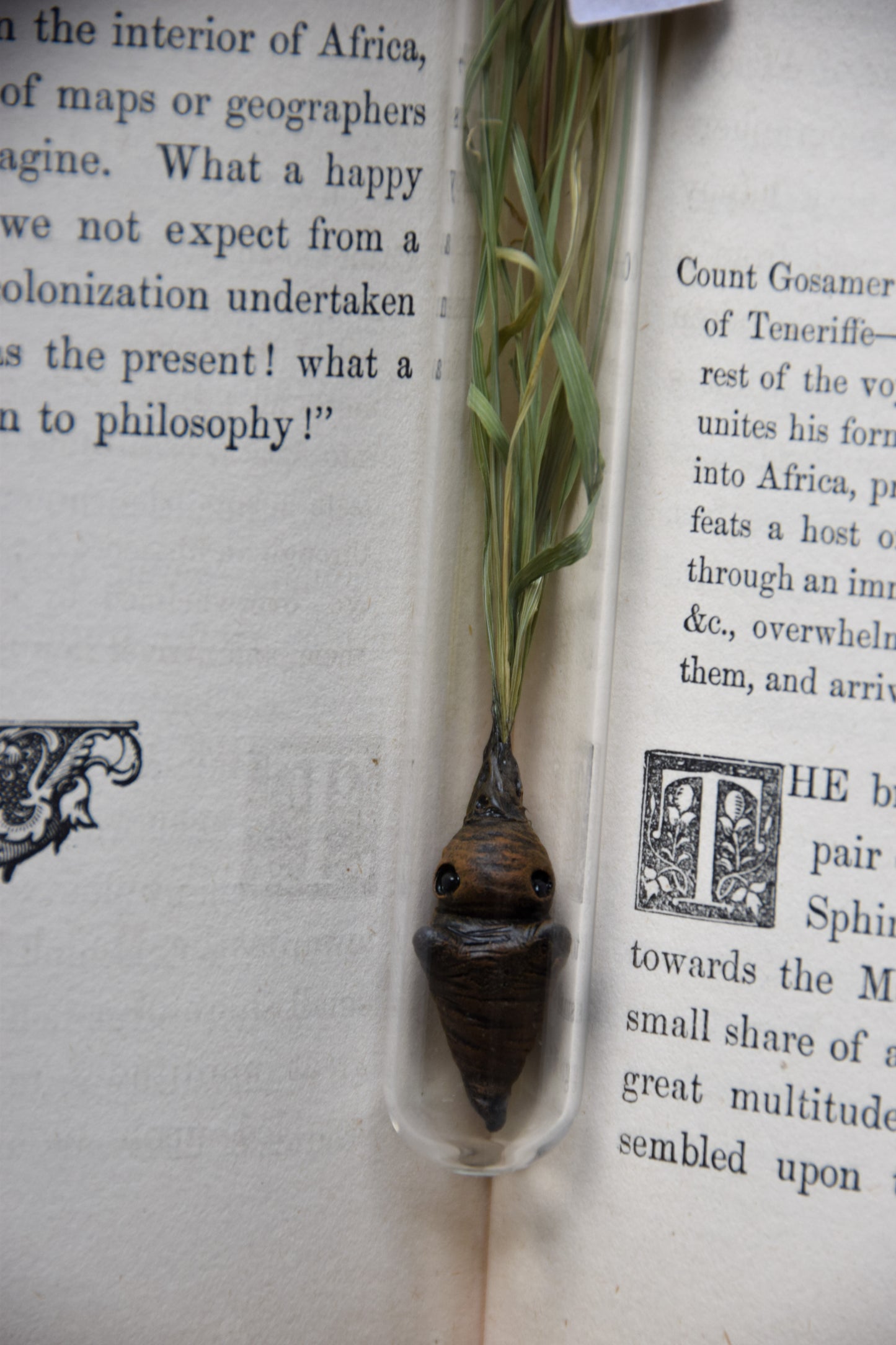 Grass Mandrake - PolymerClay Figurine in a test tube