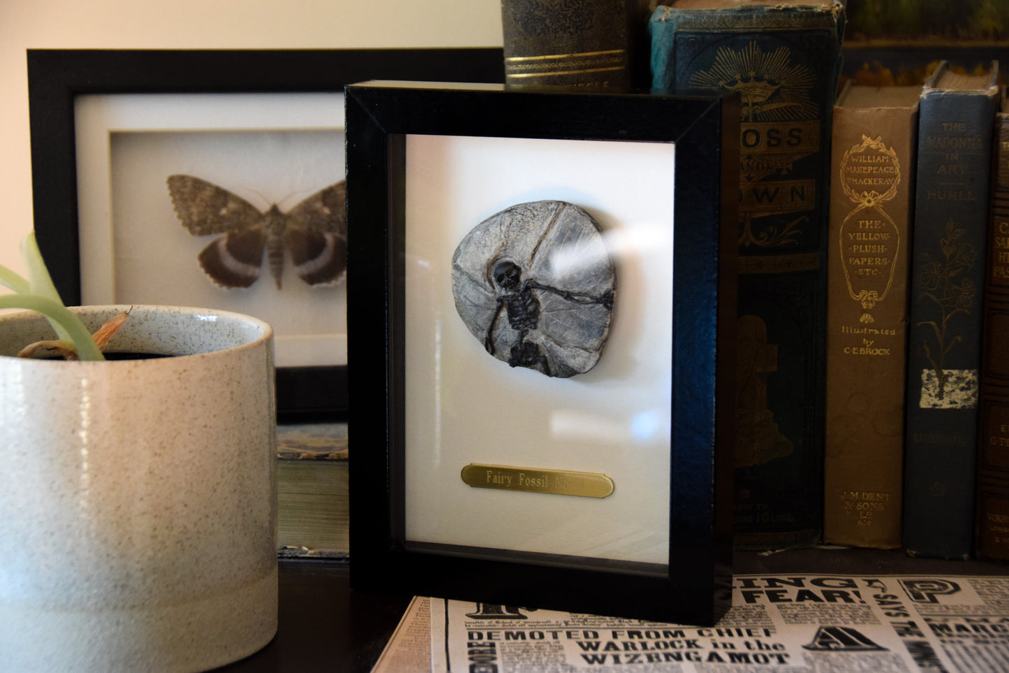 Fairy Fossil - Mini Framed Fairy Bones