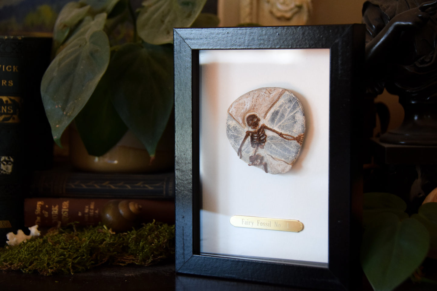 Fairy Fossil - Mini Framed Fairy Bones